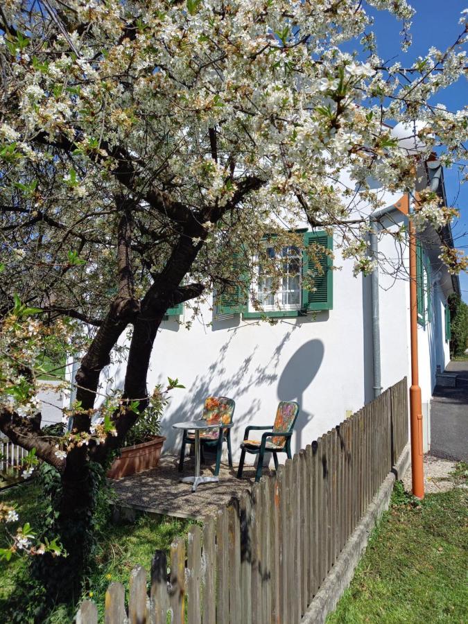 Ferienhaus Im Thermenland Ilz Exteriör bild